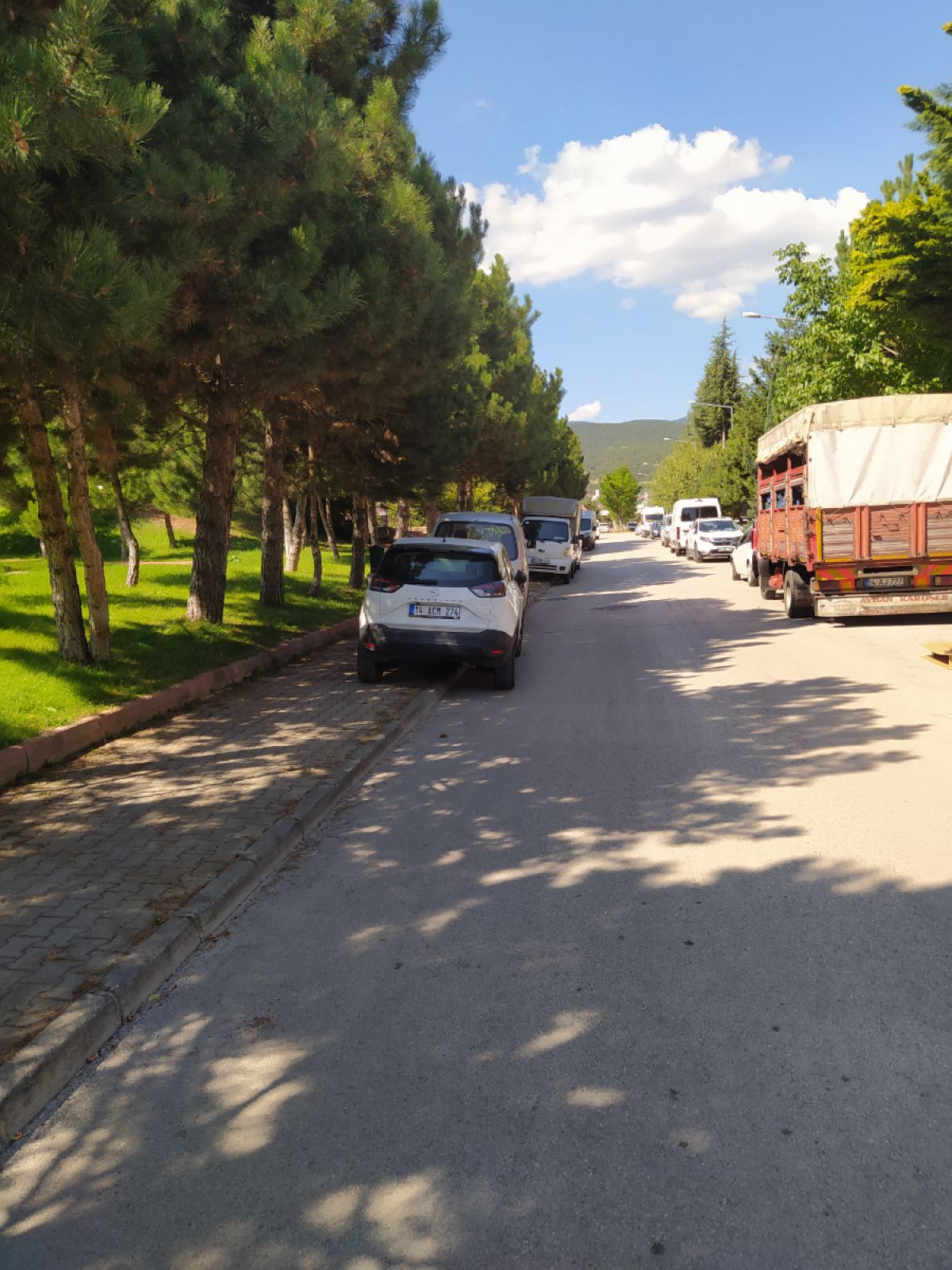 Bolu'da Trafik