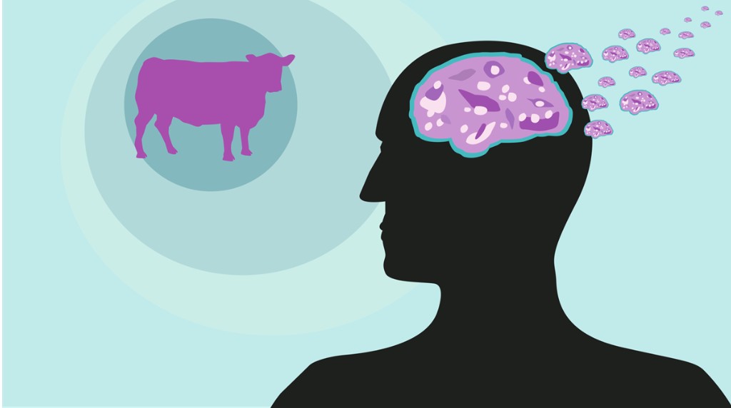 Bolu'da bir kadında Deli Dana Hastalığı tespit edildi