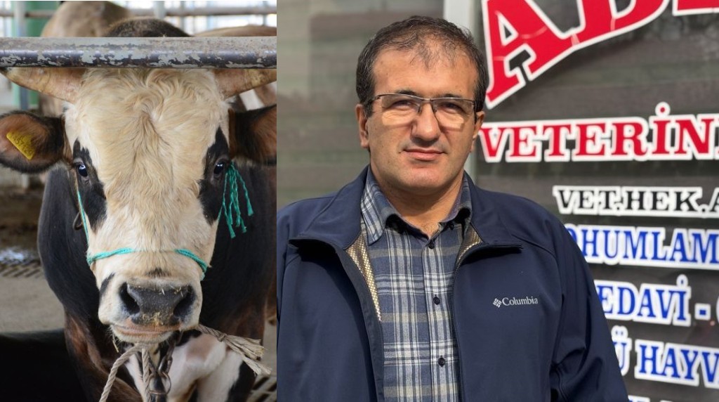 Deli Dana Hastalığı'nın şakası yok; öldürüyor !