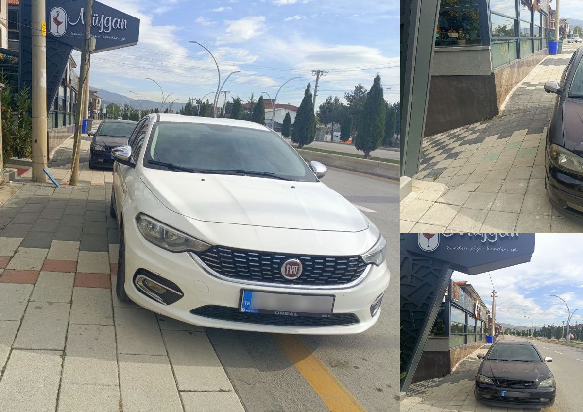 DÜZELİR Mİ?