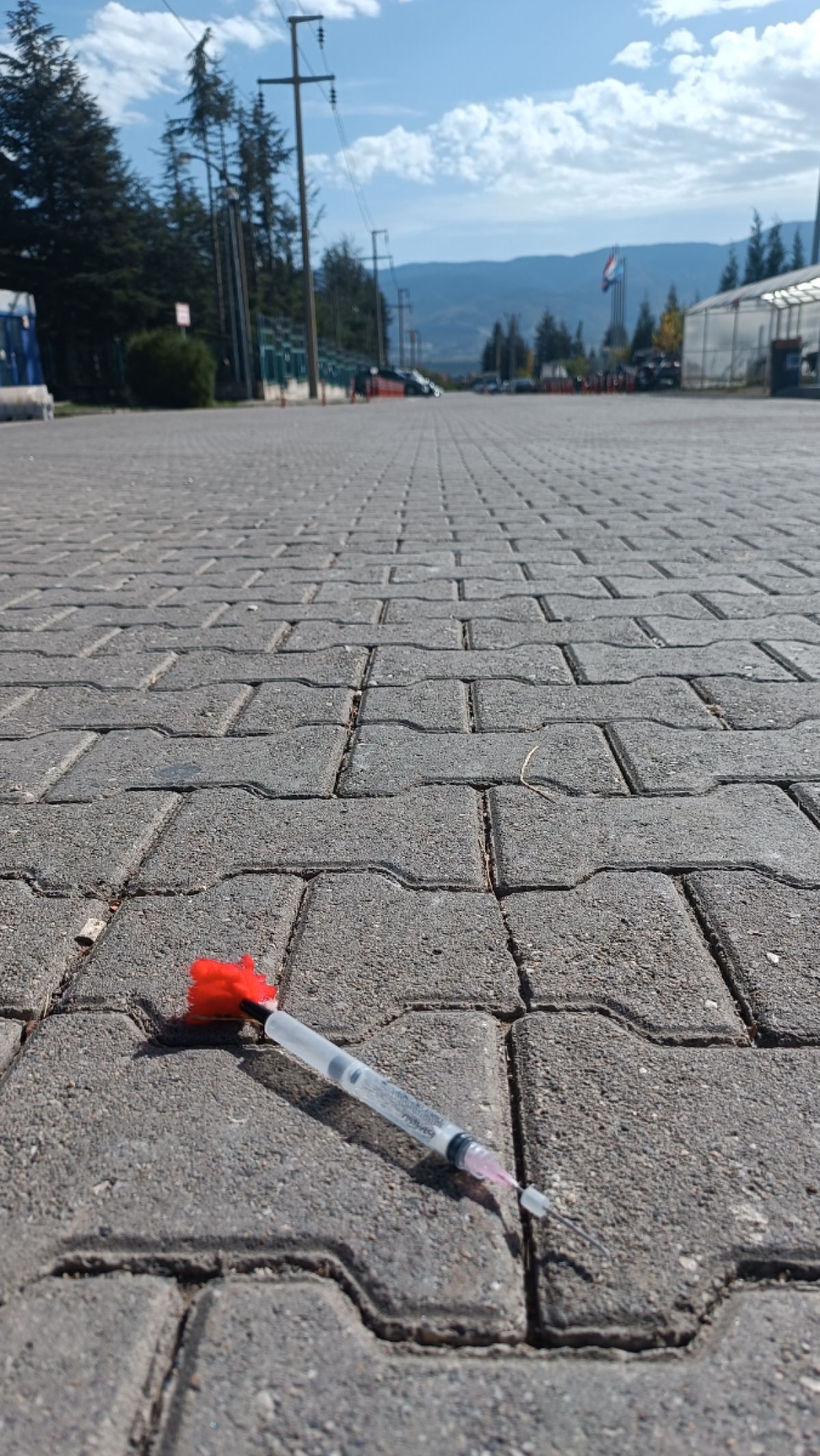 Hayvan/ İnsan sağlığı