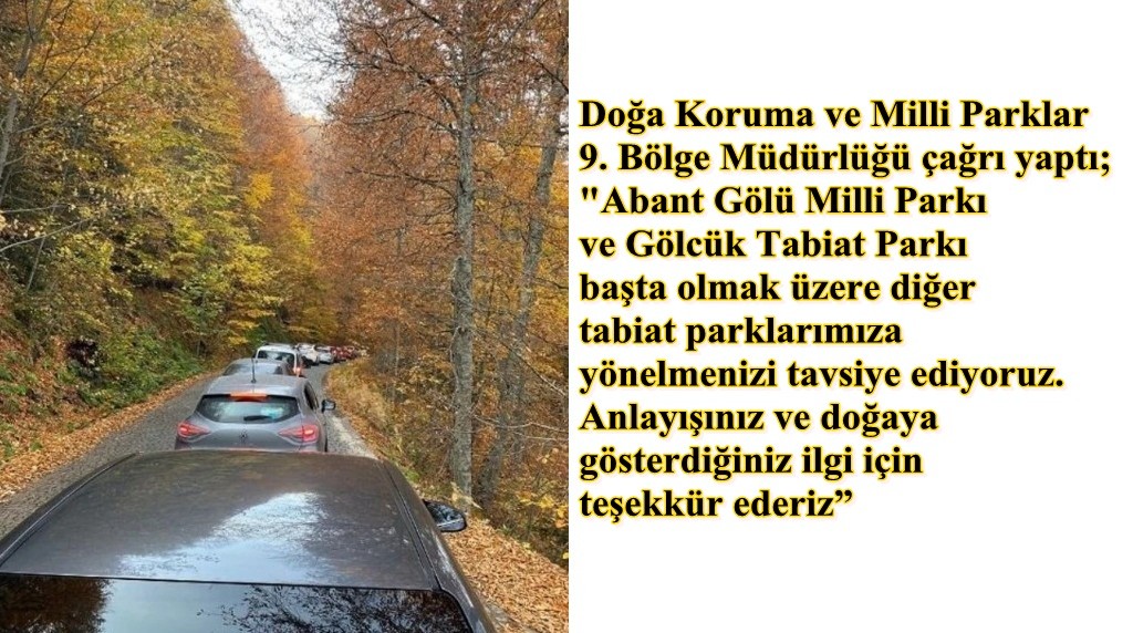 İlginç bir çağrı; "Yedigöller yerine Abant ve Gölcük'e gidiverin"