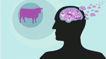 Bolu'da bir kadında Deli Dana Hastalığı tespit edildi