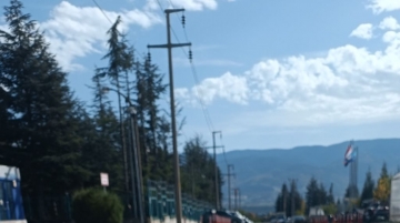 Hayvan/ İnsan sağlığı