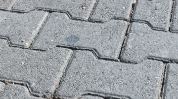 Hayvan/ İnsan sağlığı