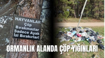 Pisliklerin ormanlık alana bıraktığı pislikler!