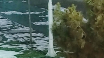 Dikkat ölüm tehlikesi !