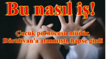 Dörtdivan Orman İşletmesi’ne müdür olarak atanmıştı, çocuk pornosundan hapse atıldı