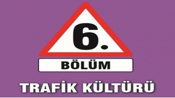 Özür dilemek yerine kafasını çevirdi ve yoluna devam etti