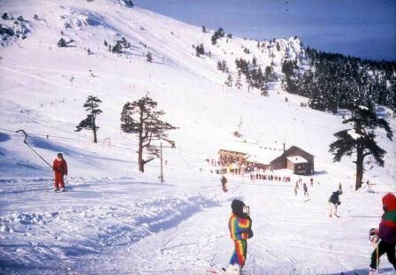 Ülkelerarası Kayak Festivali Bolu'da yapılacak