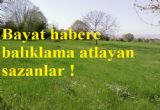 Alaaddin Abilerinin direktifleri ile hareket eden BASIN(!)