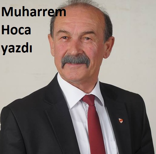 Ne dersiniz?