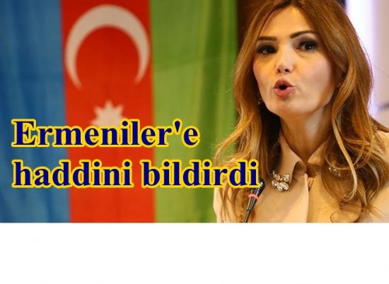 Paşayeva, AKPM'de Ermeni heyete sert tepki gösterdi!