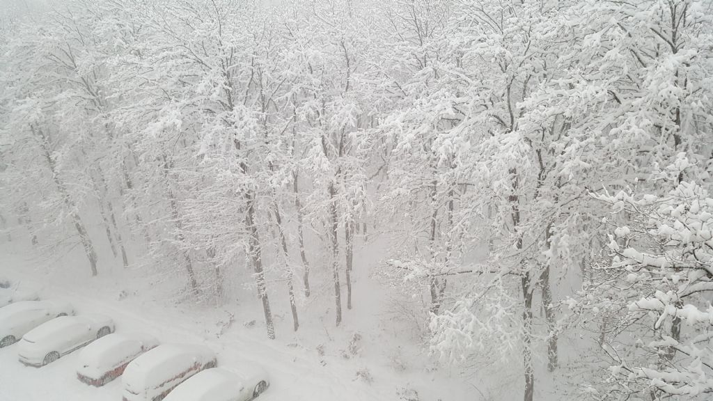 Tatil için ne bekleniyor, kaza mı?