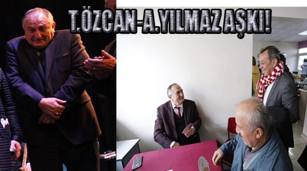 Alaaddin Y.