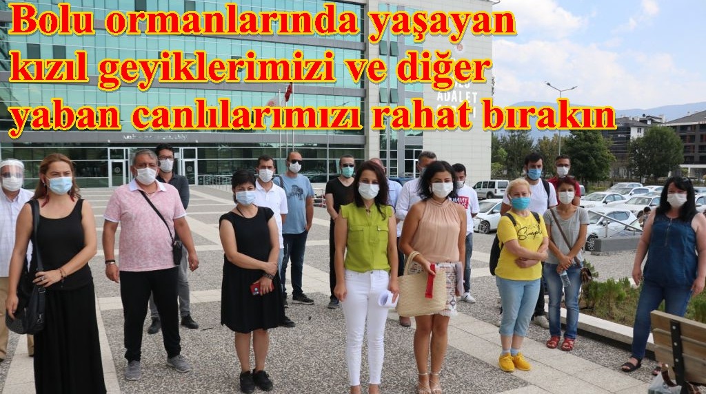 "Avcılık spor değil, cinayettir!"