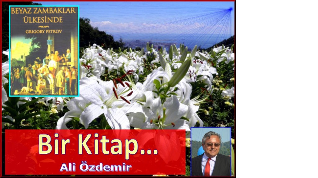 Bir kitap...