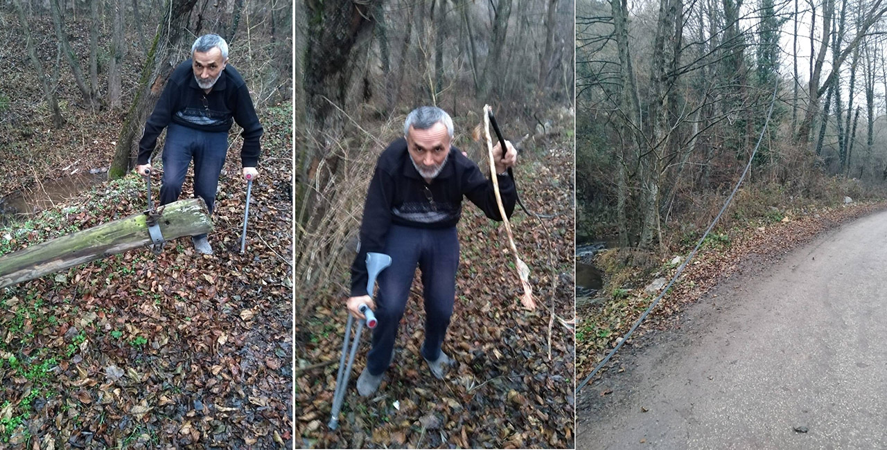 Direkler teller yerlerde geziyor