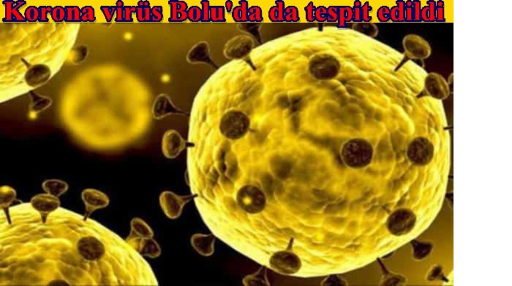 Korona Virüs Bolu'da da çıktı       