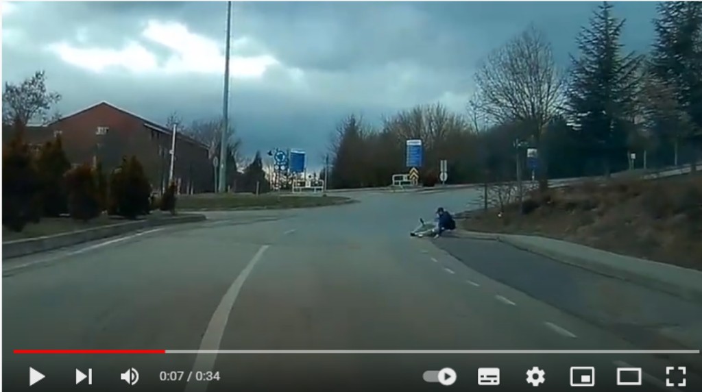 AİBÜ de Köpek Saldırısı