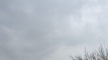 Kampüs kampüs olalı...!