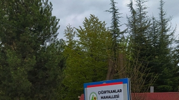 Çığırtkanlar 'Mahallesi' mi?