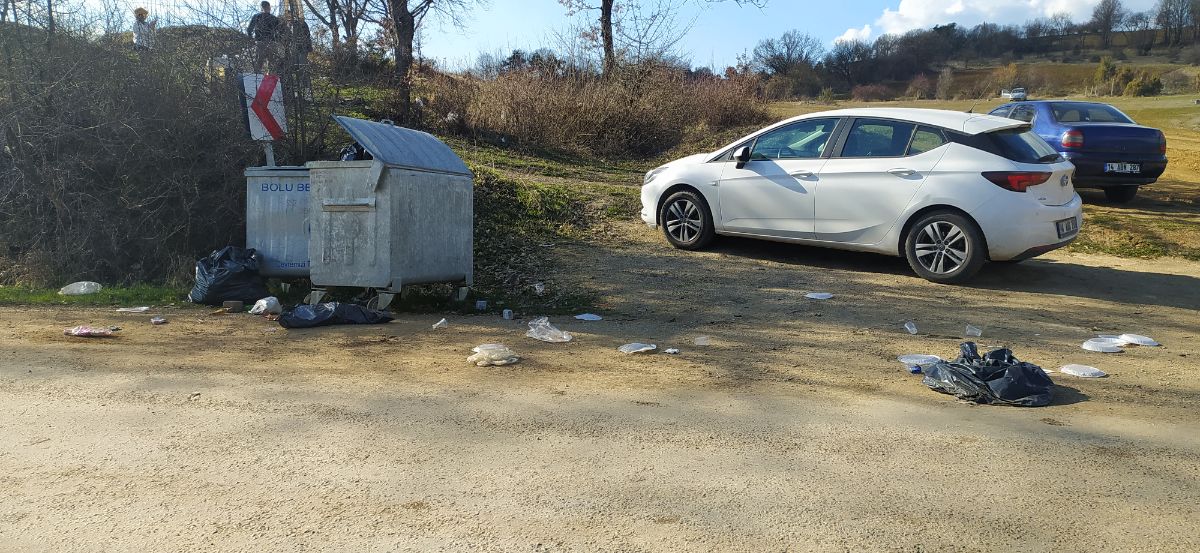 Gölköy Baraj Gölünde Bu Köpeği Kim Yaktı?