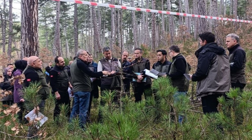 Bolu’da sağlıklı ormanlar için ekipler sahaya indi