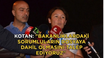 "Bakanlıklardaki sorumluların dosyaya dahil olmasını talep ediyoruz"