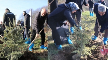 Bolu'da otel faciasında yaşamını yitiren 78 kişi için hatıra ormanı