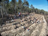 Mengen'de Milli Ağaçlandırma Günü: 2000 Adet Fidan Toprakla Buluştu