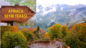 Seyir terasına park edilen araçlar, uçuruma düştü!