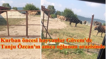 Kurbanınız bereketli(!) olmuştur artık!