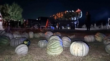 Pikap ile kabak yüklü traktörün çarpıştığı, bir otomobilin ise tarlaya savrulduğu kazada 4 kişi yaralandı