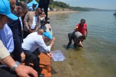 “Yaşamın İzinde: Deniz Yuvaları Projesi” Darıca Sahili’nde Büyüyor